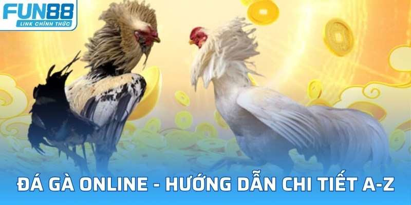 đá gà online fun88